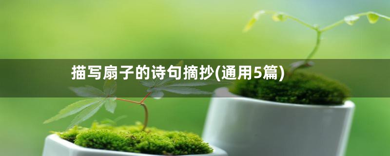 描写扇子的诗句摘抄(通用5篇)
