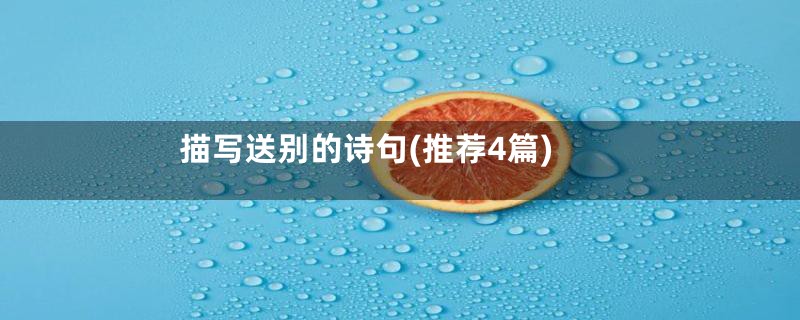 描写送别的诗句(推荐4篇)