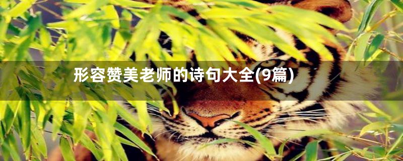 形容赞美老师的诗句大全(9篇)