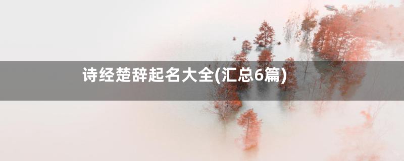 诗经楚辞起名大全(汇总6篇)