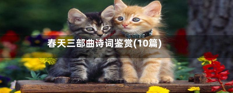 春天三部曲诗词鉴赏(10篇)