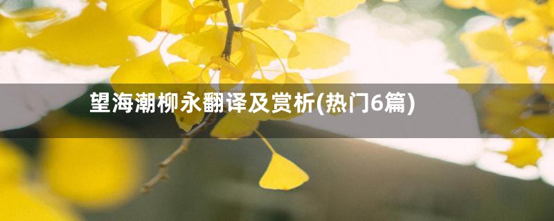 望海潮柳永翻译及赏析(热门6篇)
