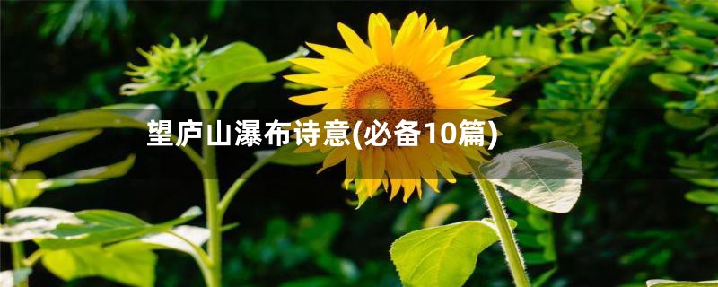望庐山瀑布诗意(必备10篇)