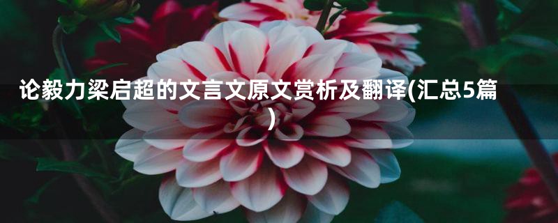 论毅力梁启超的文言文原文赏析及翻译(汇总5篇)