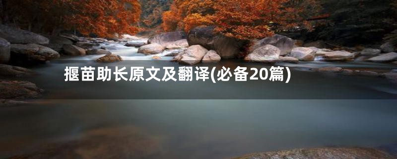 揠苗助长原文及翻译(必备20篇)