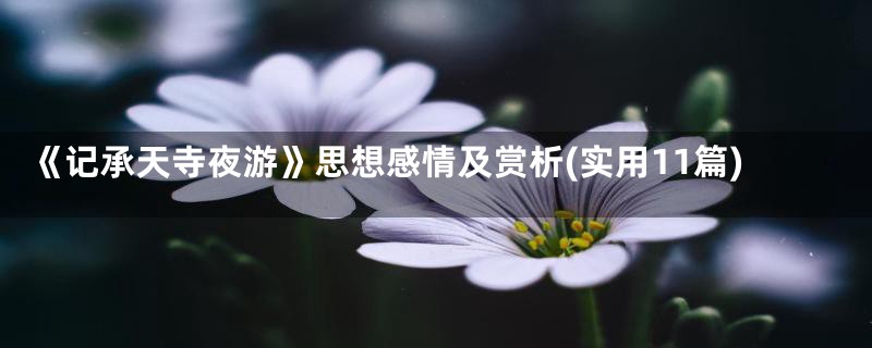 《记承天寺夜游》思想感情及赏析(实用11篇)