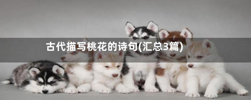 古代描写桃花的诗句(汇总3篇)