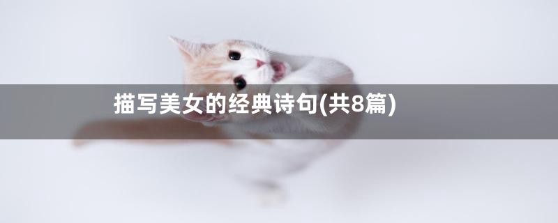 描写美女的经典诗句(共8篇)