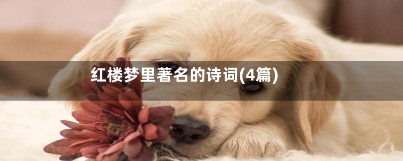 红楼梦里著名的诗词(4篇)