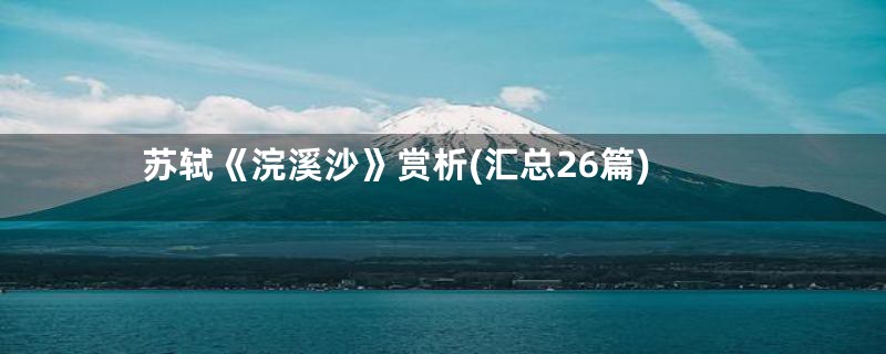 苏轼《浣溪沙》赏析(汇总26篇)