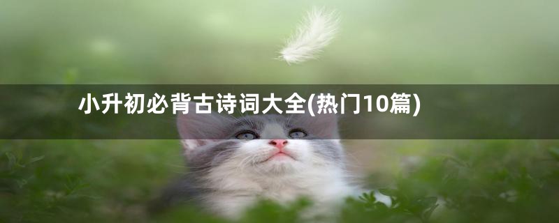 小升初必背古诗词大全(热门10篇)