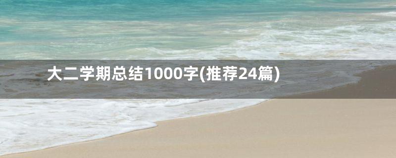 大二学期总结1000字(推荐24篇)