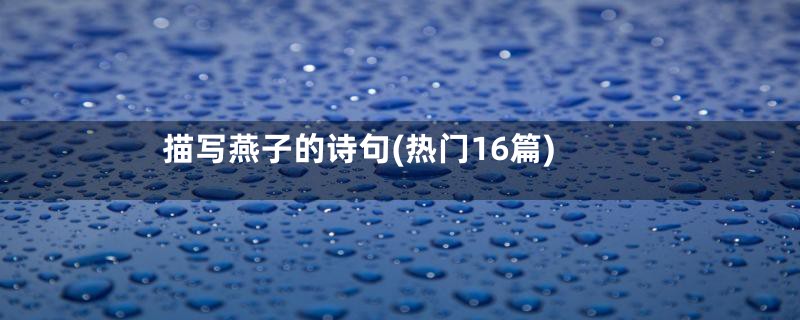 描写燕子的诗句(热门16篇)