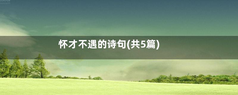 怀才不遇的诗句(共5篇)