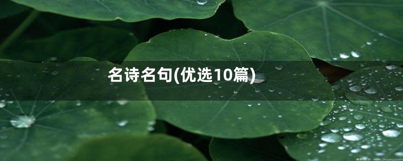 名诗名句(优选10篇)