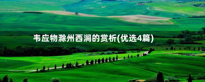 韦应物滁州西涧的赏析(优选4篇)