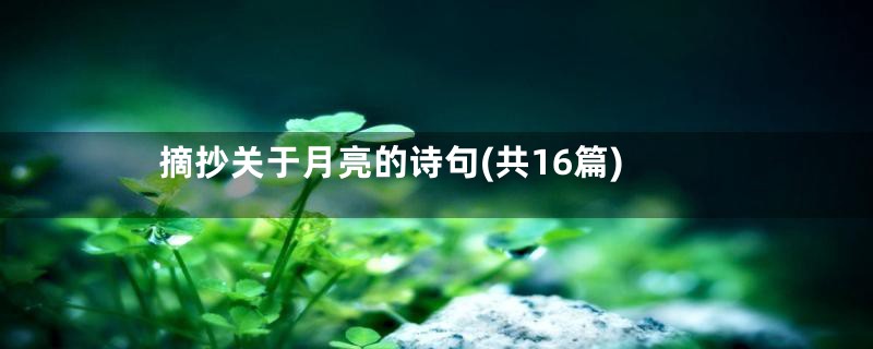 摘抄关于月亮的诗句(共16篇)