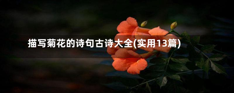 描写菊花的诗句古诗大全(实用13篇)