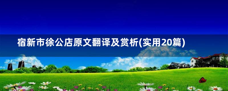 宿新市徐公店原文翻译及赏析(实用20篇)