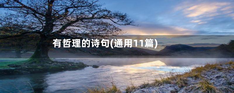 有哲理的诗句(通用11篇)