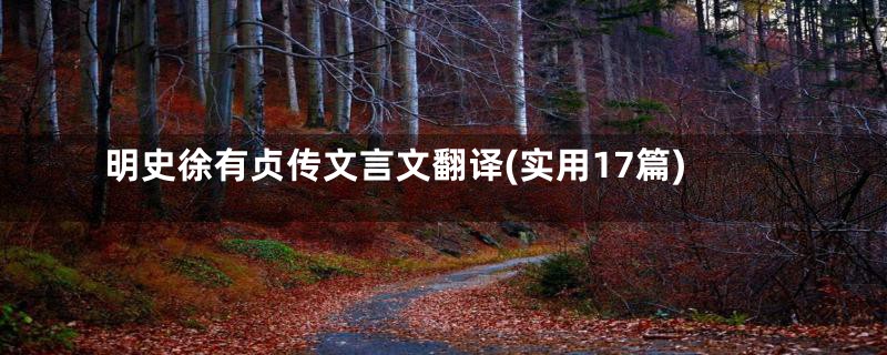 明史徐有贞传文言文翻译(实用17篇)