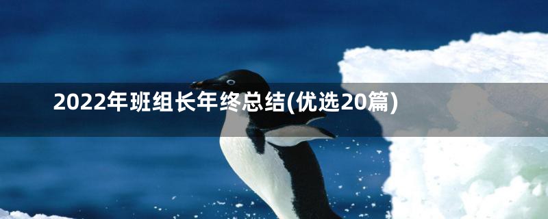 2022年班组长年终总结(优选20篇)