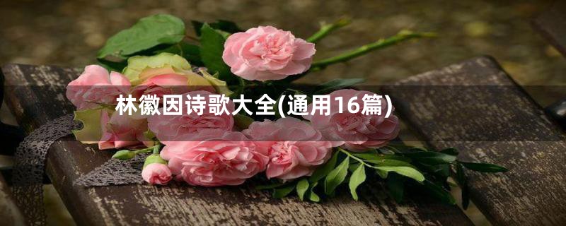 林徽因诗歌大全(通用16篇)