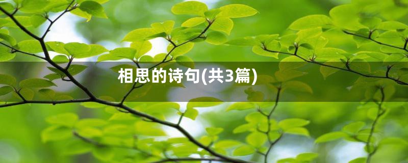相思的诗句(共3篇)