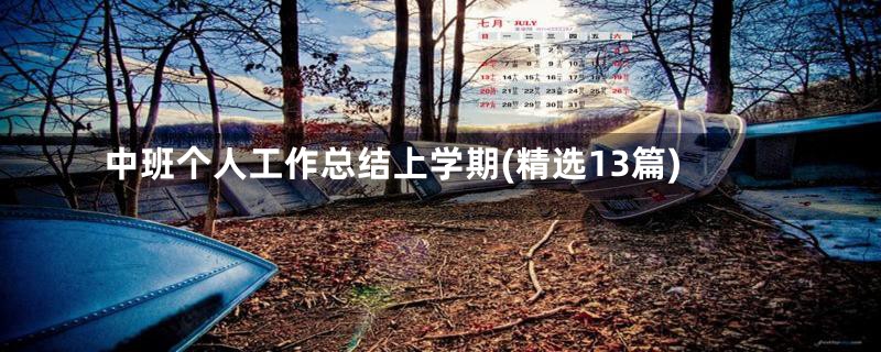 中班个人工作总结上学期(精选13篇)