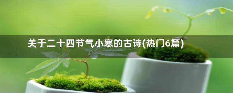 关于二十四节气小寒的古诗(热门6篇)