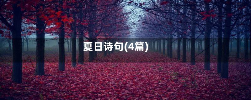 夏日诗句(4篇)