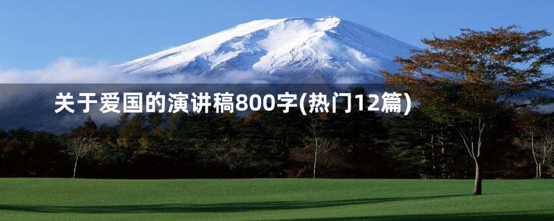 关于爱国的演讲稿800字(热门12篇)
