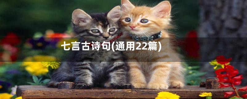 七言古诗句(通用22篇)