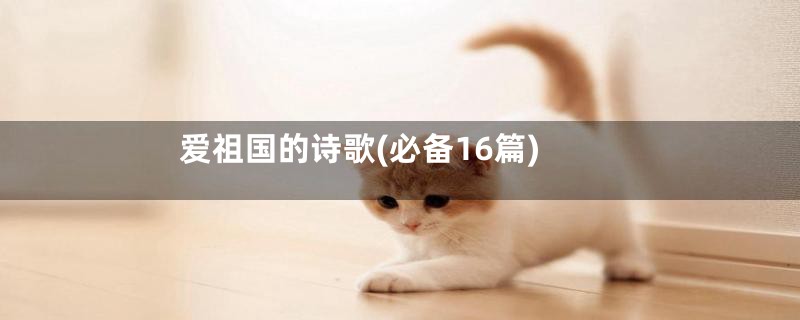 爱祖国的诗歌(必备16篇)