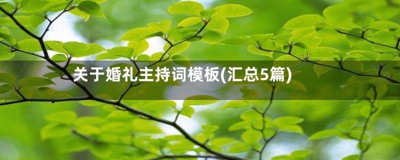 关于婚礼主持词模板(汇总5篇)