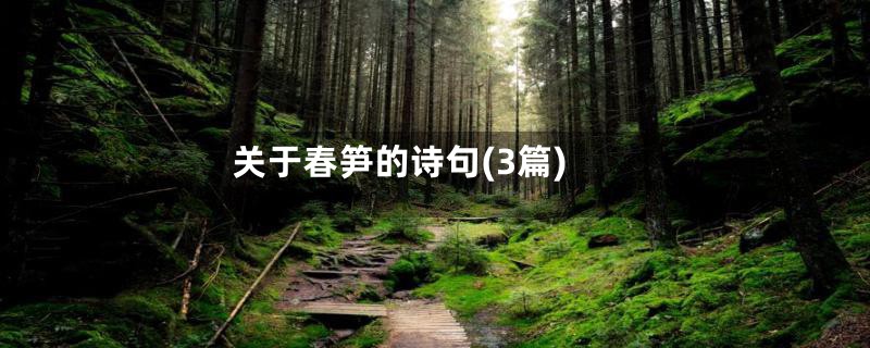 关于春笋的诗句(3篇)