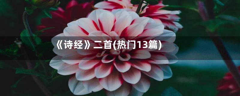 《诗经》二首(热门13篇)
