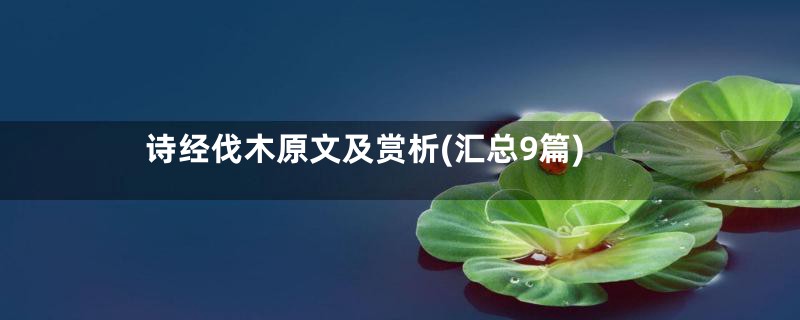 诗经伐木原文及赏析(汇总9篇)