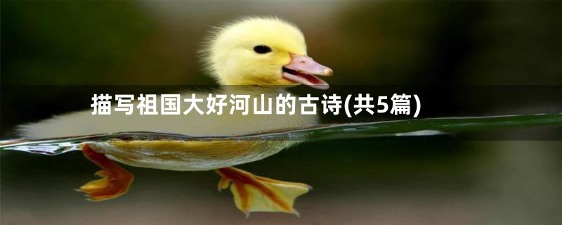 描写祖国大好河山的古诗(共5篇)