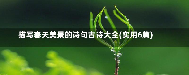 描写春天美景的诗句古诗大全(实用6篇)