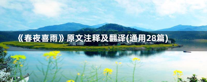 《春夜喜雨》原文注释及翻译(通用28篇)