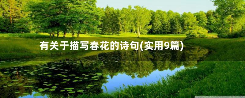 有关于描写春花的诗句(实用9篇)