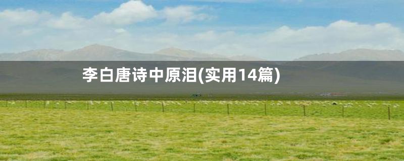 李白唐诗中原泪(实用14篇)