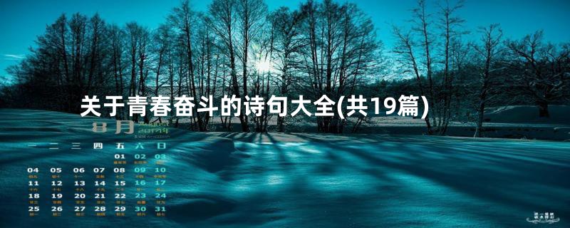 关于青春奋斗的诗句大全(共19篇)