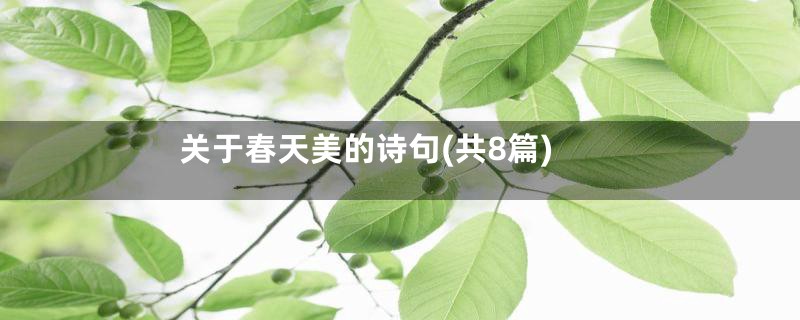 关于春天美的诗句(共8篇)