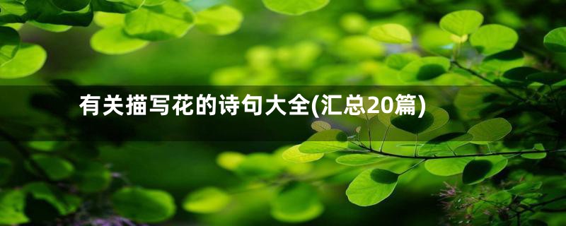 有关描写花的诗句大全(汇总20篇)