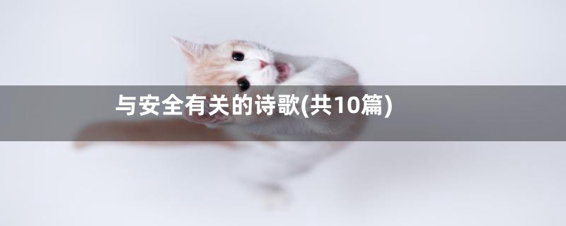 与安全有关的诗歌(共10篇)