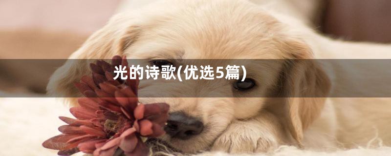 光的诗歌(优选5篇)
