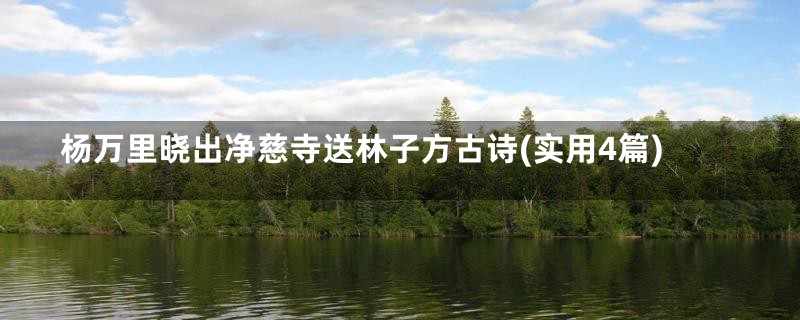 杨万里晓出净慈寺送林子方古诗(实用4篇)