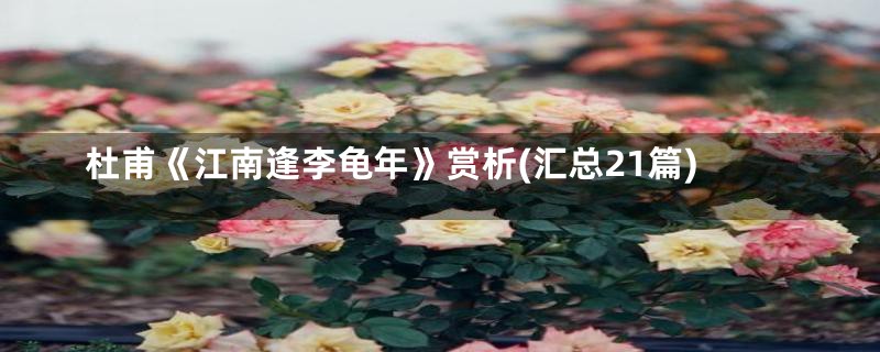 杜甫《江南逢李龟年》赏析(汇总21篇)